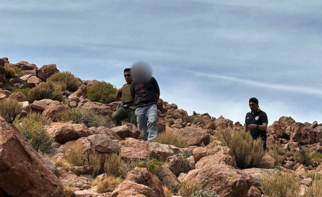 Caza de vicuñas en el norte: la matanza de los animales con la lana más fina del mundo